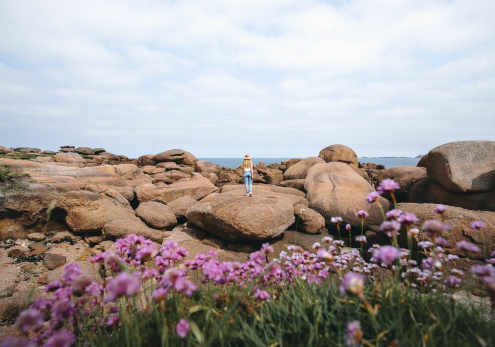 Tourisme Bretagne rochers de l'Ile Renote