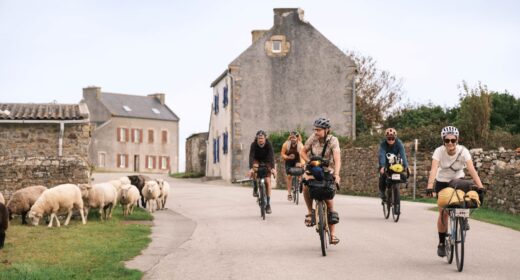 Être accompagné vers l'excellence