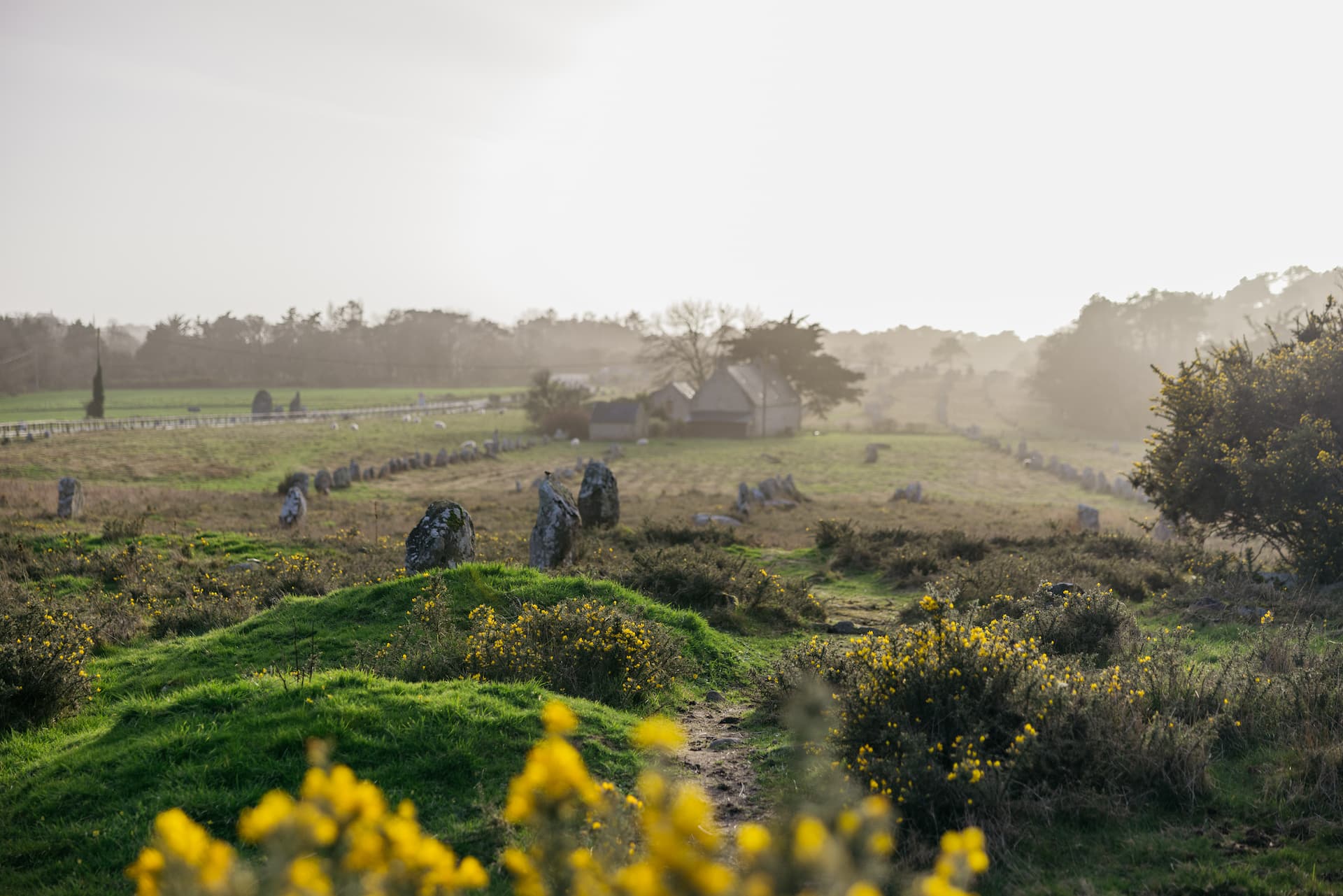 mégalithes de Carnarc - Morbihan