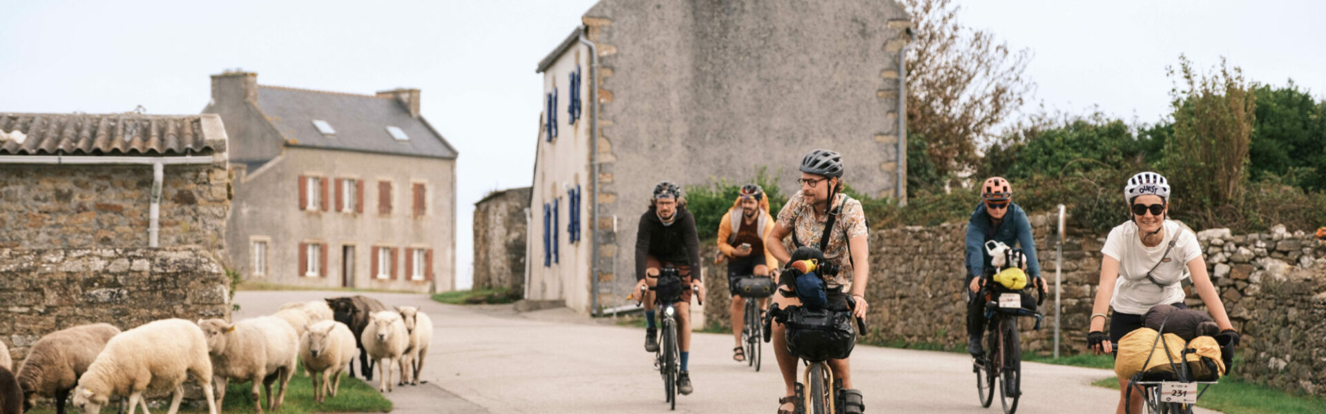 Frugullou - Ouessant